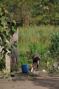 Crédit Ph. D Masson