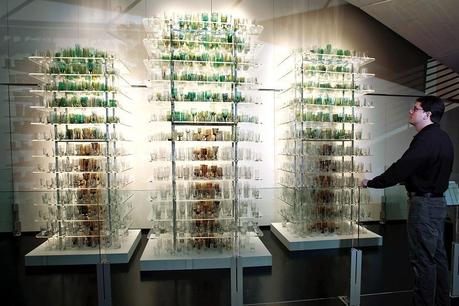 Katherine Gray – Forest Glass Forest Glass 04