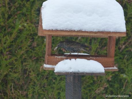 MES VISITEURS QUOTIDIENS