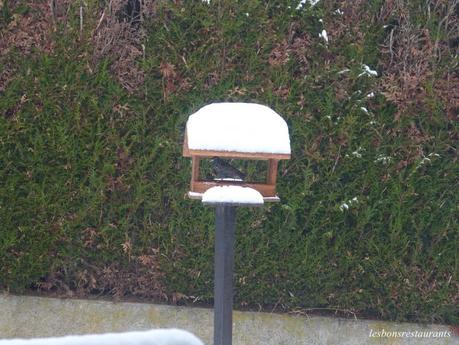 MES VISITEURS QUOTIDIENS