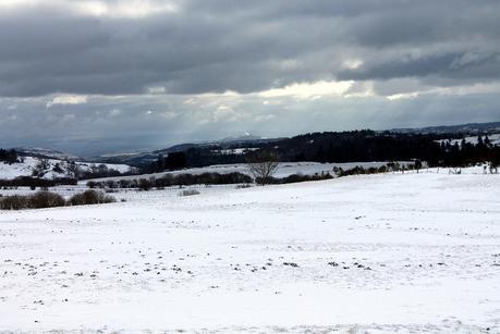 Blanc & Noir, du gris aussi, des couleurs enfin