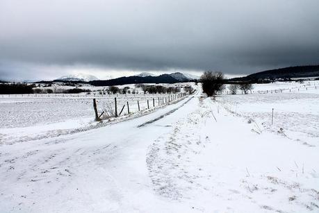 Blanc & Noir, du gris aussi, des couleurs enfin