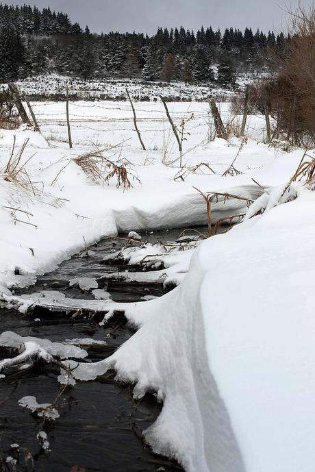 Blanc & Noir, du gris aussi, des couleurs enfin