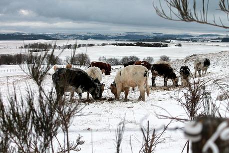Blanc & Noir, du gris aussi, des couleurs enfin