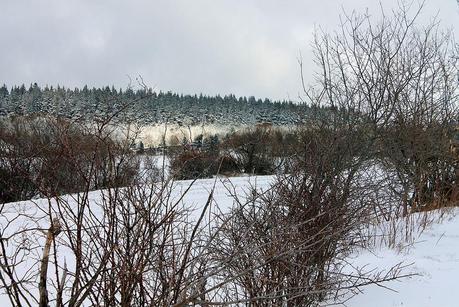 Blanc & Noir, du gris aussi, des couleurs enfin