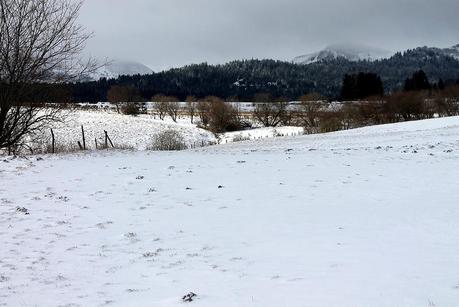 Blanc & Noir, du gris aussi, des couleurs enfin