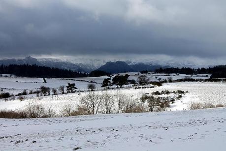 Blanc & Noir, du gris aussi, des couleurs enfin