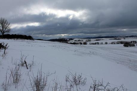 Blanc & Noir, du gris aussi, des couleurs enfin