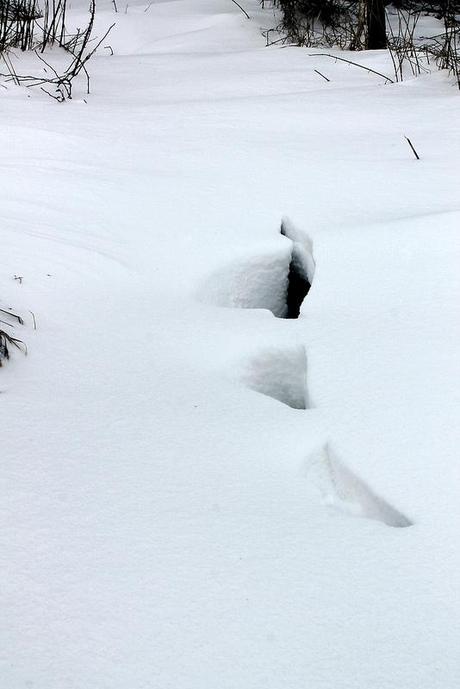 Blanc & Noir, du gris aussi, des couleurs enfin