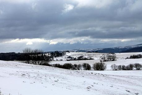 Blanc & Noir, du gris aussi, des couleurs enfin