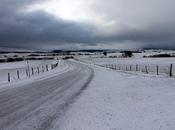 Blanc Noir, gris aussi, couleurs enfin