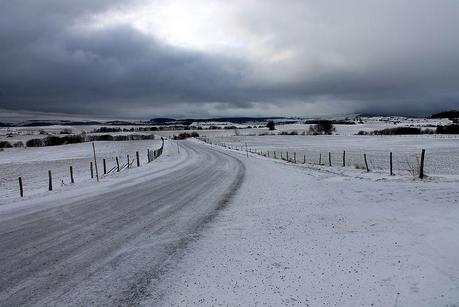 Blanc & Noir, du gris aussi, des couleurs enfin
