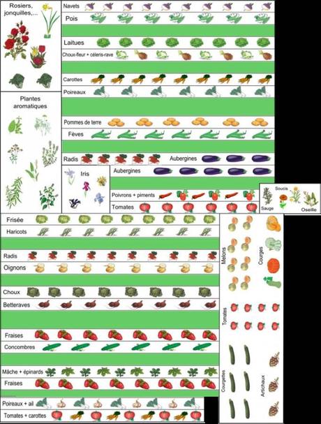 5 exemples de plans de potager et de contenus de potager