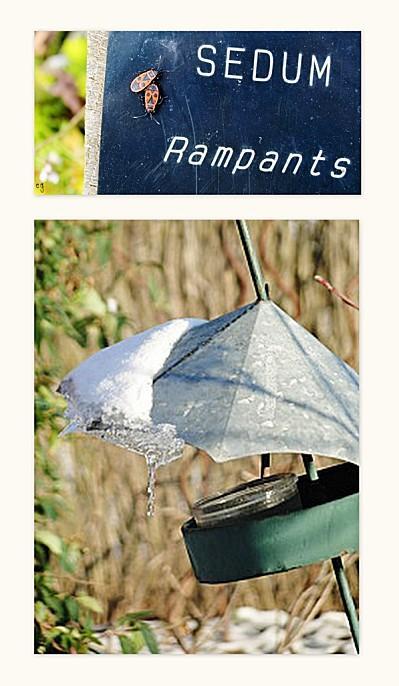 Instant T. #73# INSTANT T1 (8)