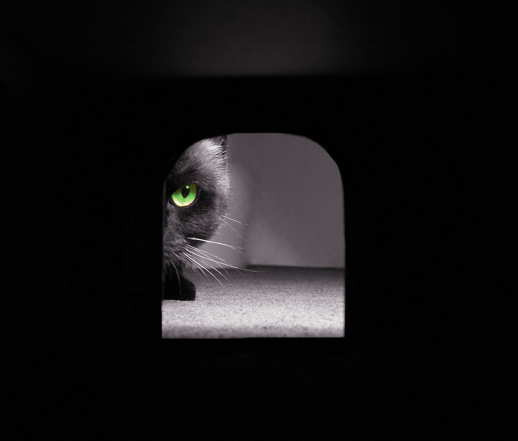 La patience, un remède