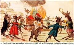 Terre brûlée, bibliothèques en feu Terre brûlée, bibliothèques en feu