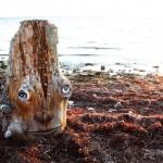 Zonenkinder Collective - Tree