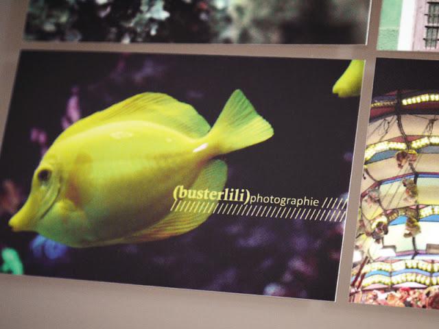 Joli vrac : nouvelles cartes !!