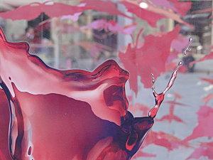 MACRO FOLIE #20 - MOMENT DE GLOIRE INSIDE