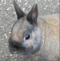 MACRO FOLIE #20 - MOMENT DE GLOIRE INSIDE
