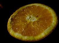 MACRO FOLIE #20 - MOMENT DE GLOIRE INSIDE