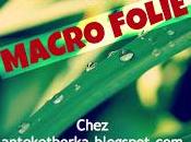 Macro folie