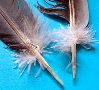 MACRO FOLIE #19 MACRO FOLIE #19