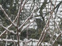 MACRO FOLIE #19 MACRO FOLIE #19