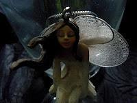 MACRO FOLIE #19 MACRO FOLIE #19