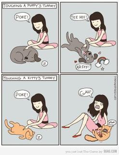 La littérature dans les magasins de jardinage.