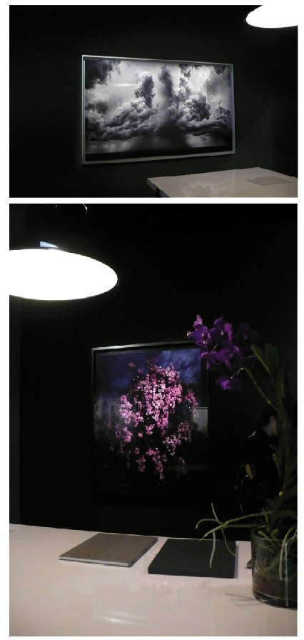 Inspirations Paris Photo 2012