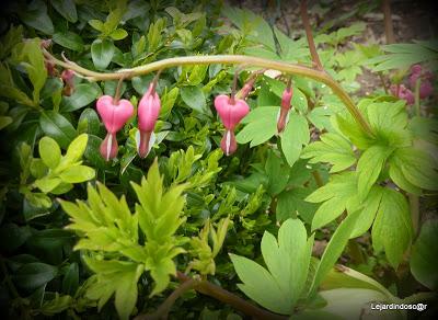 Nous voilà en Avril !! Comment ça NON ? Bon, bah dommage,...