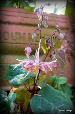 Nous voilà en Avril !! Comment ça NON ? Bon, bah dommage,...