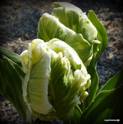 Nous voilà en Avril !! Comment ça NON ? Bon, bah dommage,...