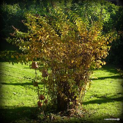 Une journée ensoleillée (la seule et c'était hier !) m'au...