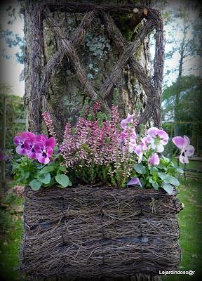 Une journée ensoleillée (la seule et c'était hier !) m'au...