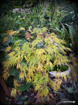 Une journée ensoleillée (la seule et c'était hier !) m'au...