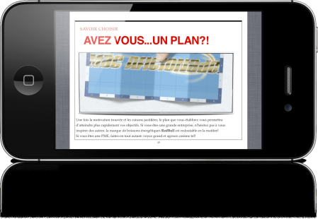 Réseaux sociaux: les secrets du succès pour entreprises