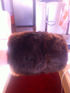 Un projet de plus : Robe à la turque d'hiver