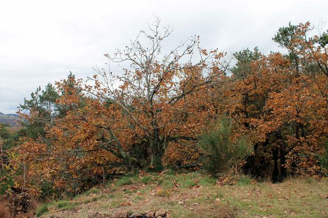 Promenade du dimanche