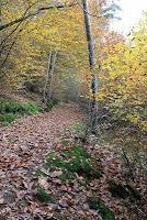 Promenade du dimanche