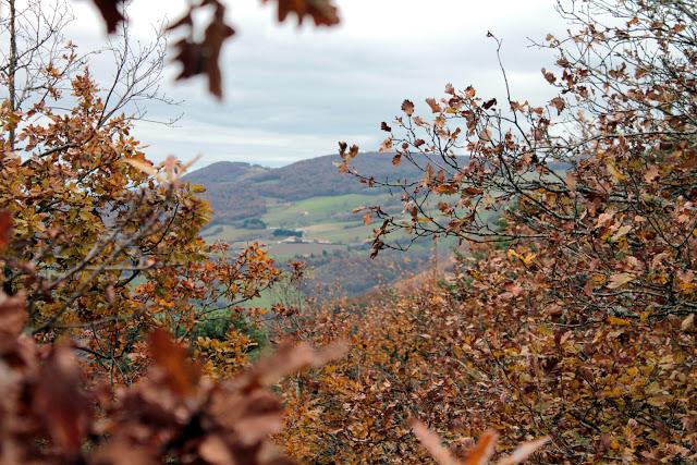 Promenade du dimanche