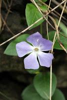 Promenade du dimanche