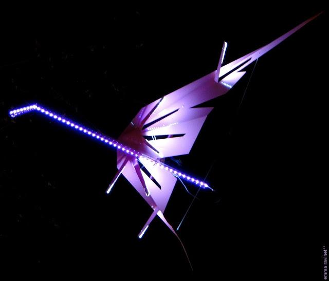 Fête des Lumières 2010 (Lyon)