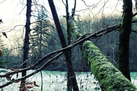 La montagne, ça vous gagne ! La montagne, ça vous gagne !