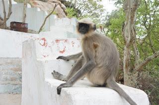 La géographie festive... la fête des lumières hindoue, Diwali