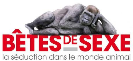 Live-Touiite : Bêtes de Sexe