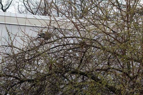 6 paris 2 fév 2013 063.jpg