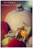 MACRO FOLIE #18 MACRO FOLIE #18