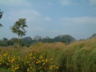 Parc forestier de Phu Pha Lom (25km de Loei)